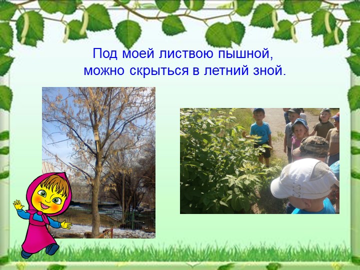 Презентация - Экологическая тропа МДОУ "Детский сад №79"
