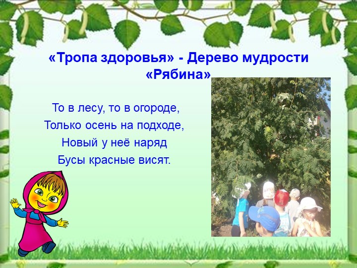 Презентация - Экологическая тропа МДОУ "Детский сад №79"