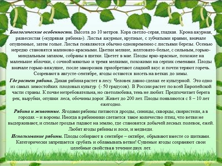 Презентация - Экологическая тропа МДОУ "Детский сад №79"