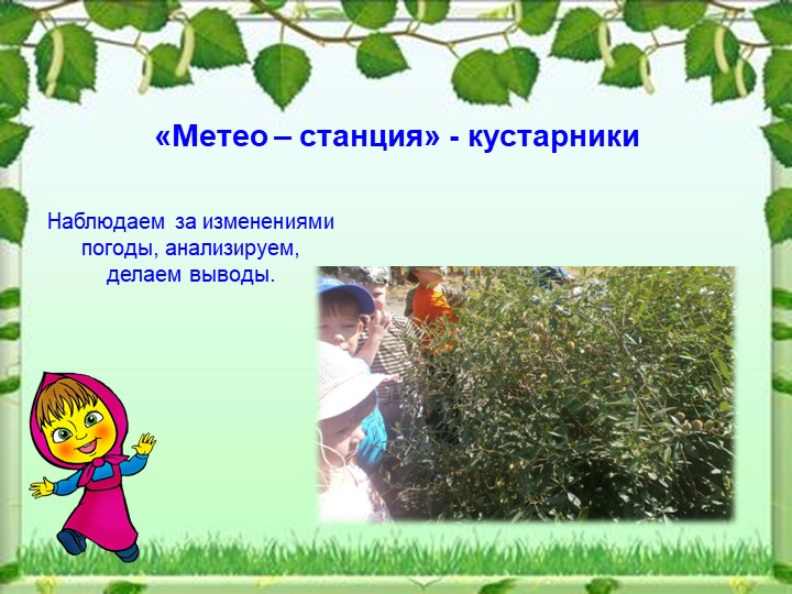 Презентация - Экологическая тропа МДОУ "Детский сад №79"