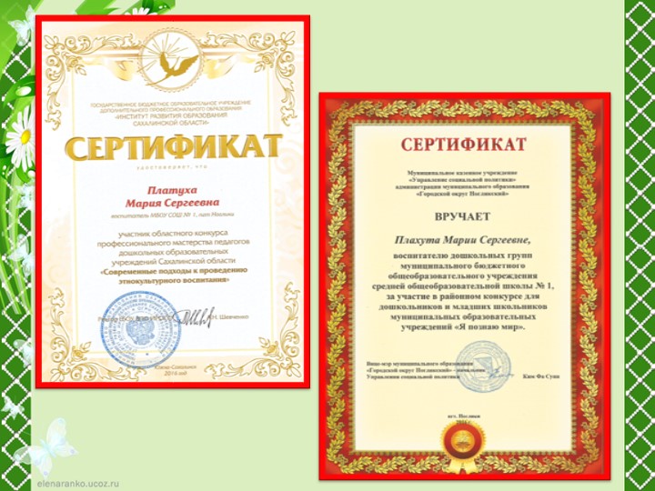 Портфолио для аттестации "Плахута М.С."