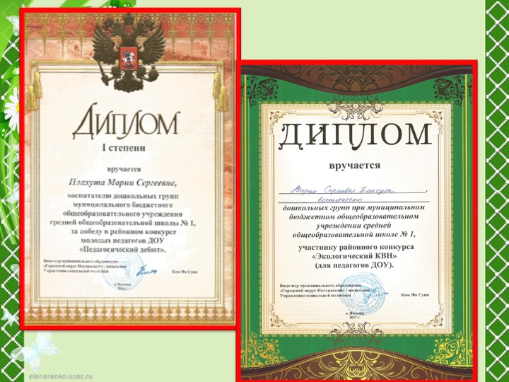 Портфолио для аттестации "Плахута М.С."