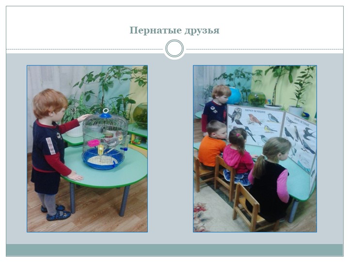 Интегрированный подход в организации занятий познавательного цикла