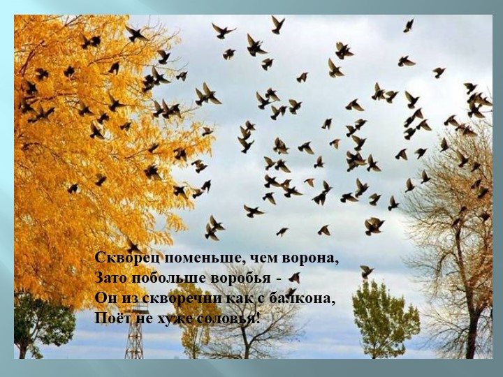 Презентация для детей подготовительной к школе группе на открытое занятие : "Летят перелетные птицы"
