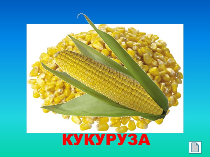 Презентация "Такие разные семена"