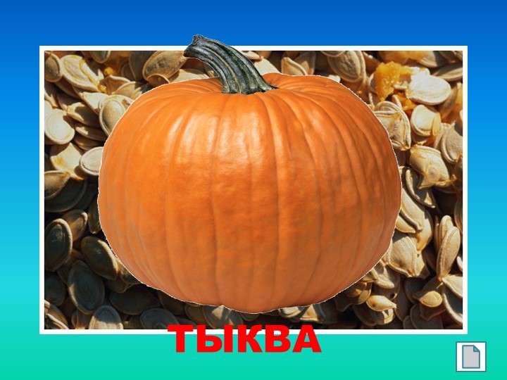 Презентация "Такие разные семена"