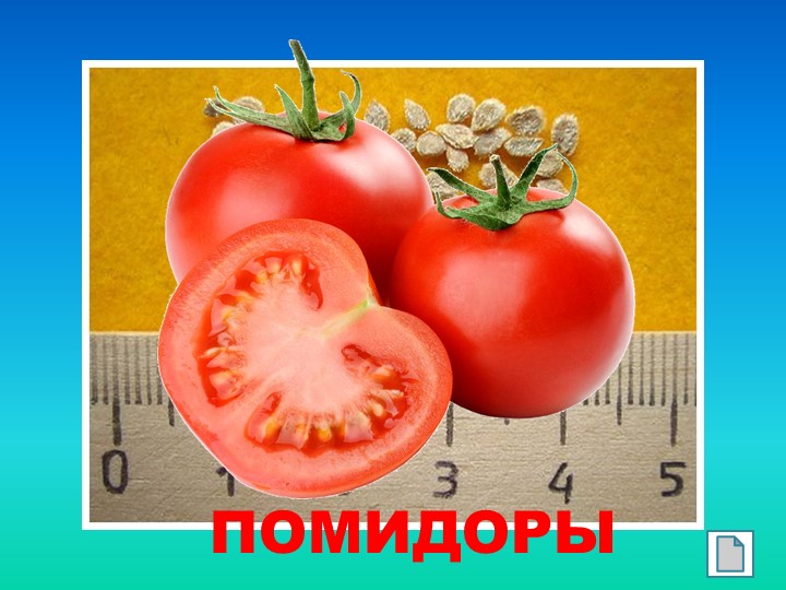 Презентация "Такие разные семена"