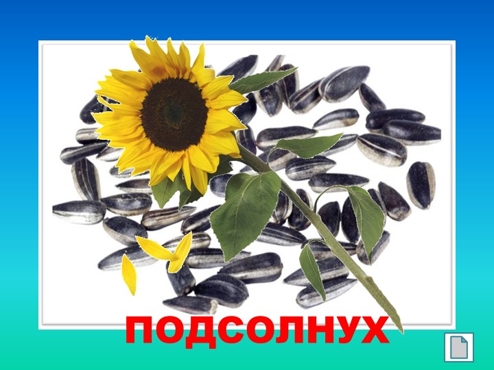 Презентация "Такие разные семена"