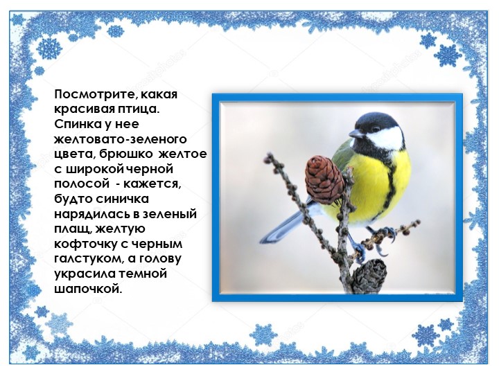 Презентация "Птичка синичка" (для детей 1 младшей группы)