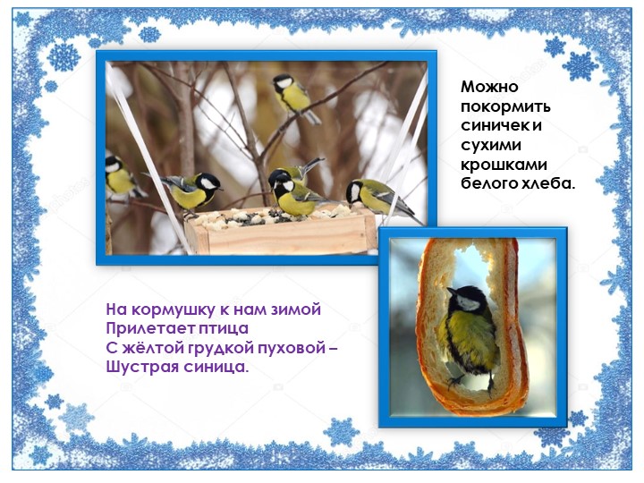 Презентация "Птичка синичка" (для детей 1 младшей группы)