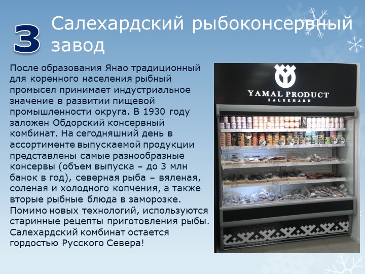 Презентация "Путешествие по г.Салехарду"