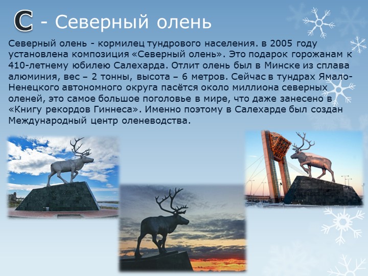 Презентация "Путешествие по г.Салехарду"