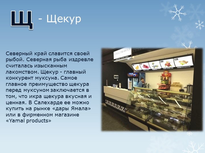Презентация "Путешествие по г.Салехарду"