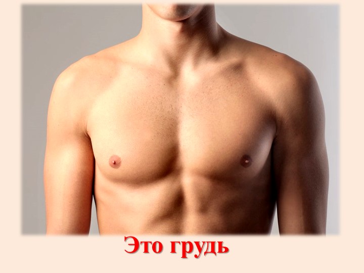 Презентация для дошкольников "Части тела человека"