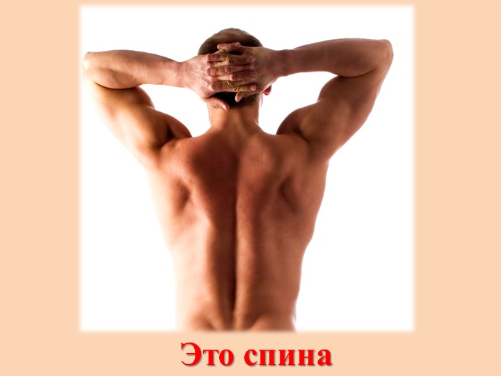 Презентация для дошкольников "Части тела человека"