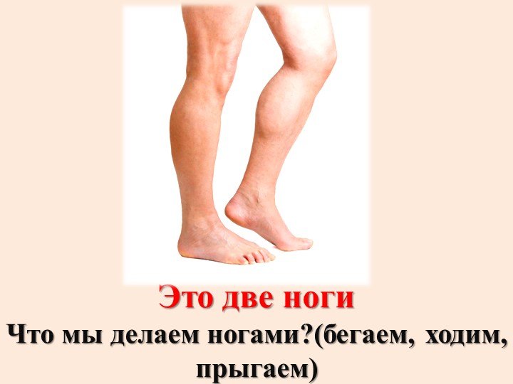 Презентация для дошкольников "Части тела человека"
