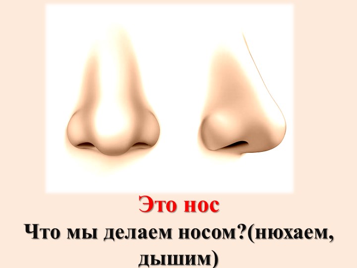 Презентация для дошкольников "Части тела человека"