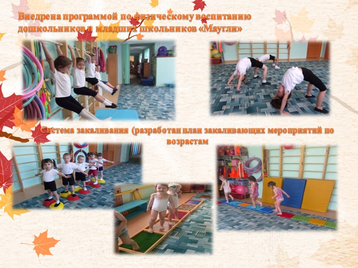 Портфолио Машковцева Т.А. "Аттестация"