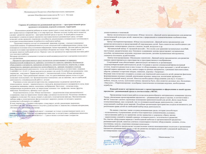 Портфолио Машковцева Т.А. "Аттестация"