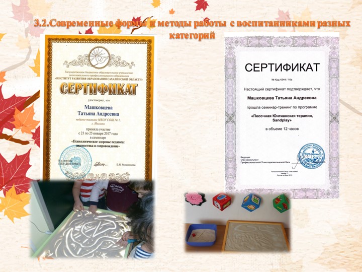 Портфолио Машковцева Т.А. "Аттестация"