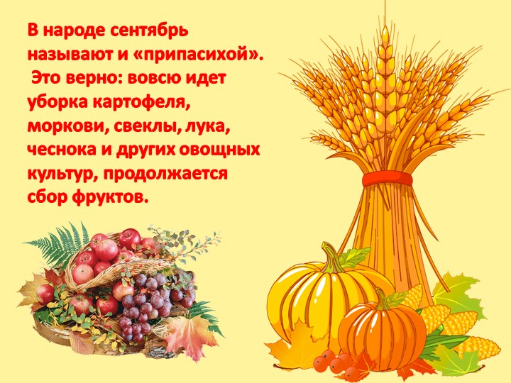 Презентация "Осень - дивная пора" (для детей старшего дошкольного возраста)