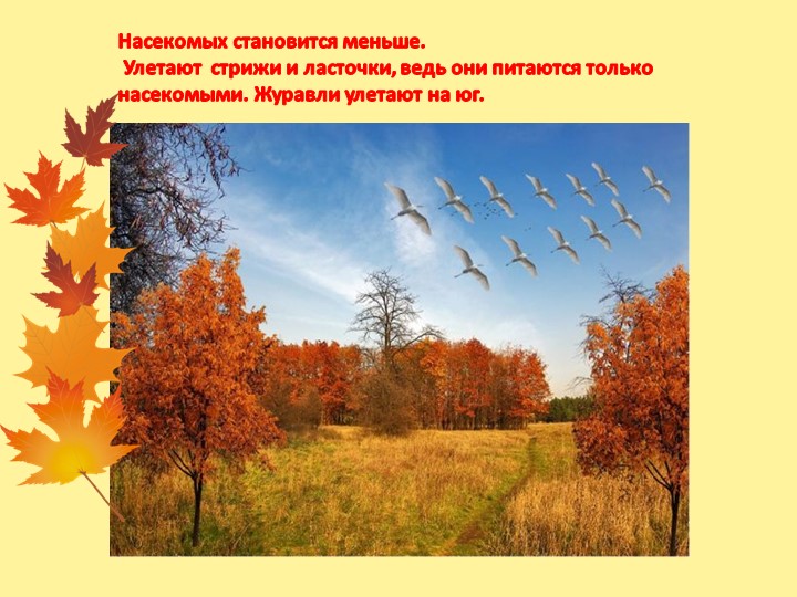 Презентация "Осень - дивная пора" (для детей старшего дошкольного возраста)