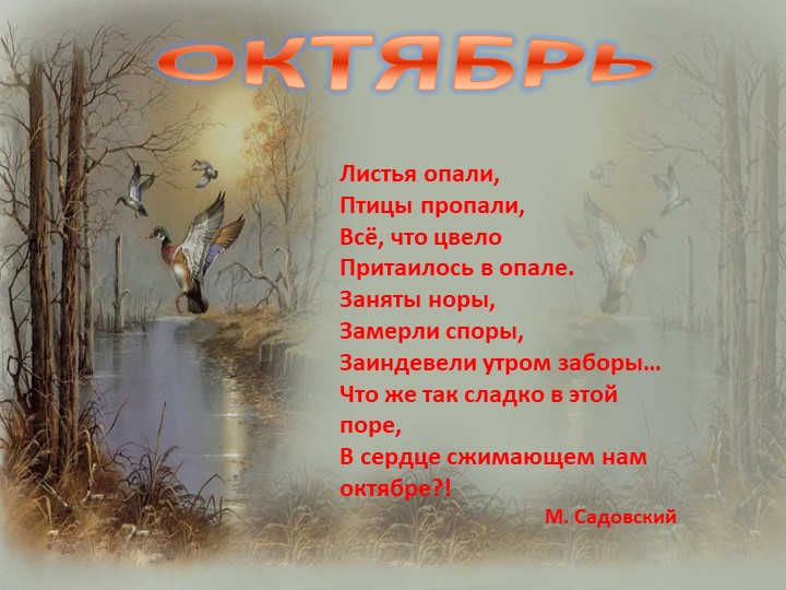 Презентация "Осень - дивная пора" (для детей старшего дошкольного возраста)