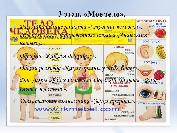 Презентация проекта "В стране Здоровячков"
