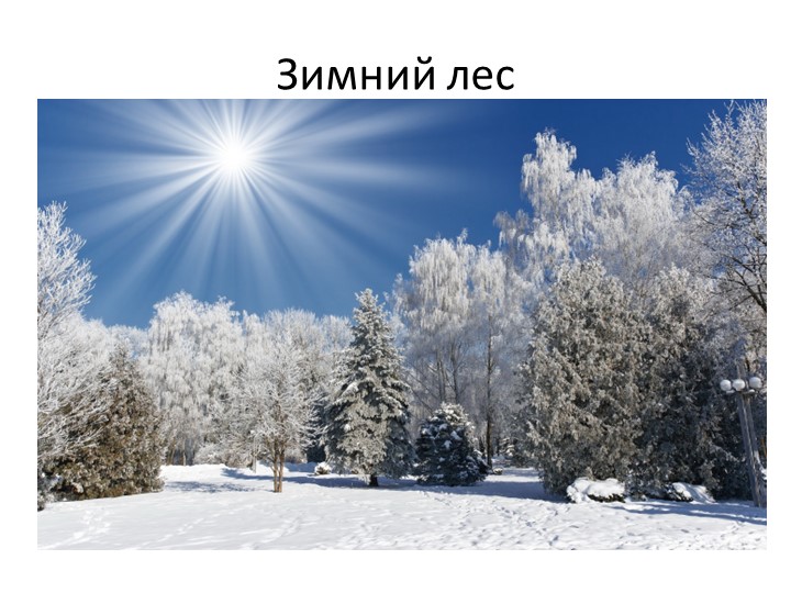 Презентация по художественно -эстетическому развитию. аппликация в старшей группе на тему: "Царство диких животных"