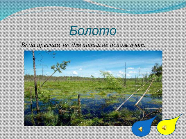 Болото пресное. Болото пресная вода. Пресная воды в болоте. Вода в болоте пресная или соленая. Питьевая вода на болоте.