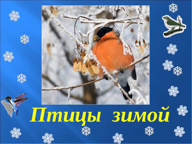Птицы зимой. Презентация для детей
