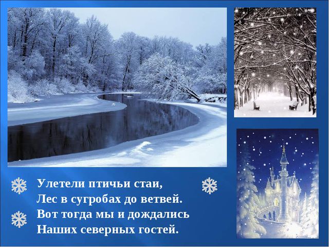Птицы зимой. Презентация для детей