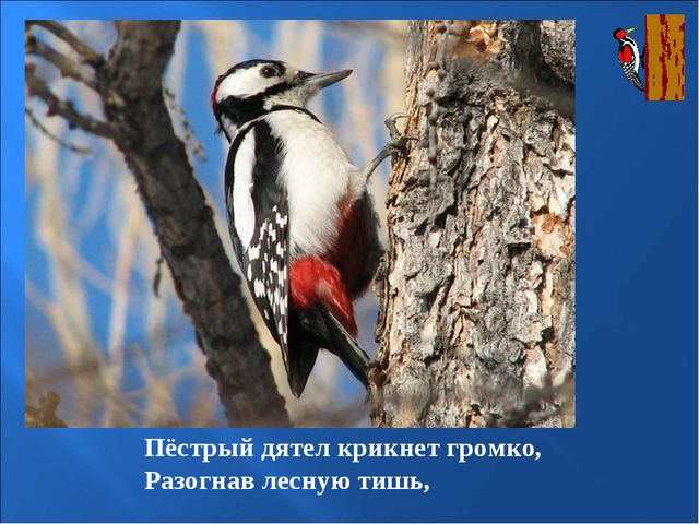 Птицы зимой. Презентация для детей