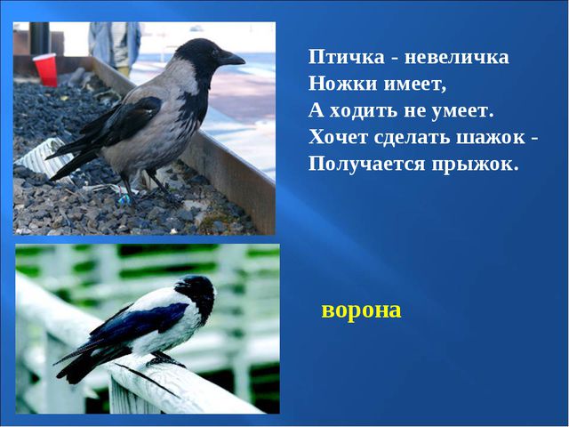 Птицы зимой. Презентация для детей