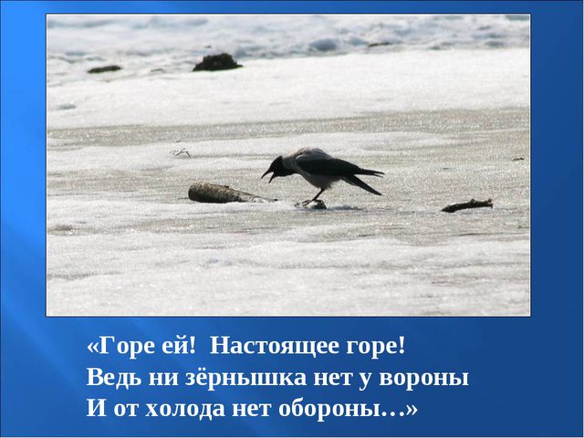 Птицы зимой. Презентация для детей