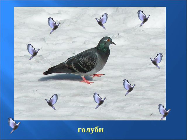 Птицы зимой. Презентация для детей