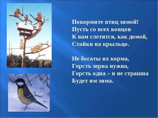 Птицы зимой. Презентация для детей