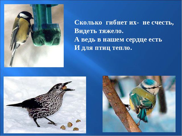 Птицы зимой. Презентация для детей