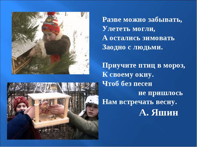 Птицы зимой. Презентация для детей