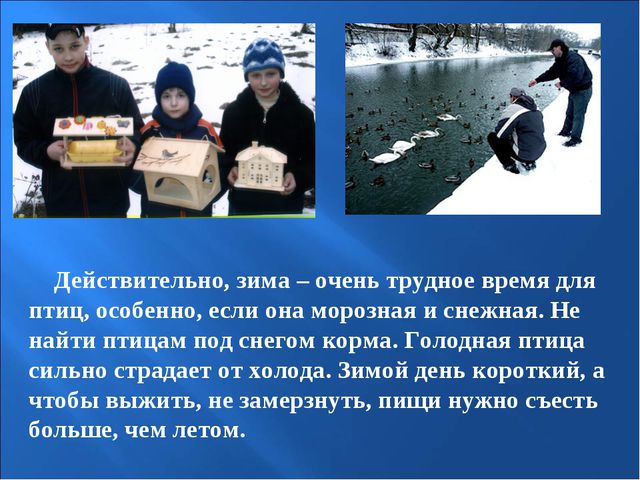 Птицы зимой. Презентация для детей