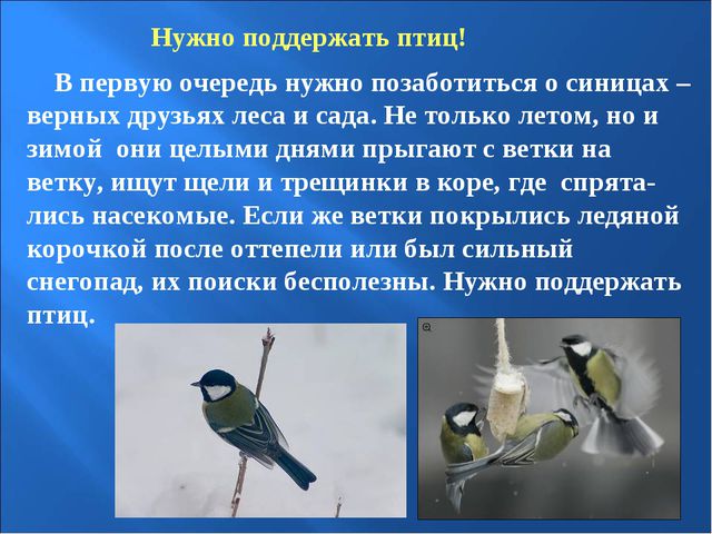 Птицы зимой. Презентация для детей