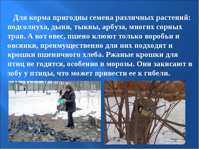 Птицы зимой. Презентация для детей