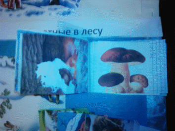 Picture 25
