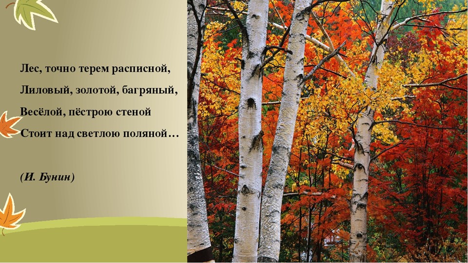 МАСТЕР–КЛАСС ПО ИЗГОТОВЛЕНИЮ ОСЕННЕГО ДЕРЕВА «ЛЮБЛЮ БЕРЕЗКУ РУССКУЮ»