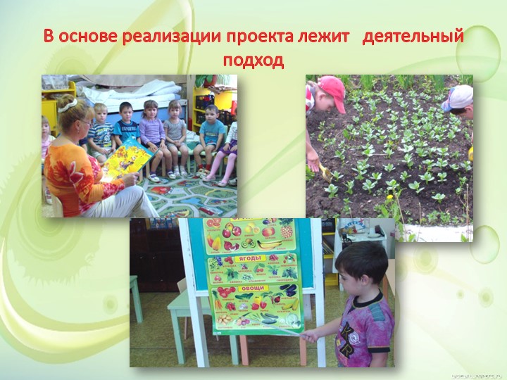 Презентация "Представление результатов проектной деятельности в подготовительной группе "