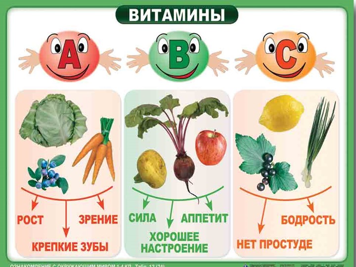 Презентация "Представление результатов проектной деятельности в подготовительной группе "