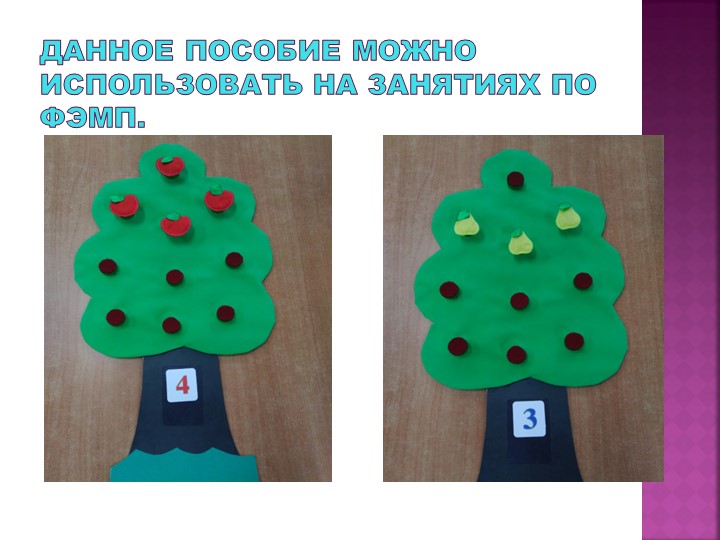 Презентация дидактического пособия по экологии "Фруктовое дерево"