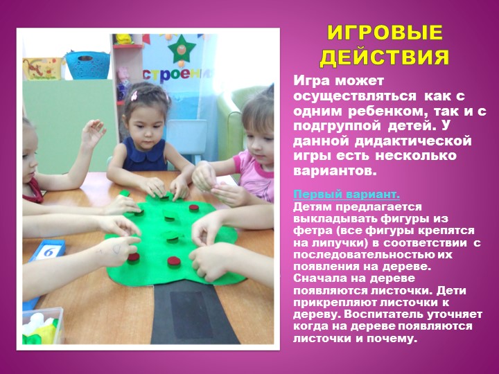 Презентация дидактического пособия по экологии "Фруктовое дерево"