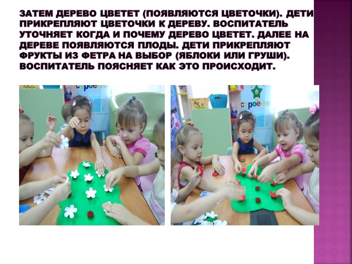Презентация дидактического пособия по экологии "Фруктовое дерево"