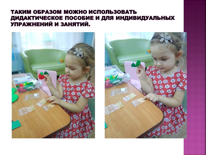 Презентация дидактического пособия по экологии "Фруктовое дерево"
